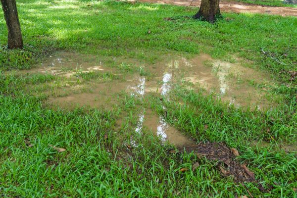 Storm Water Drainage Service in Scottsdale