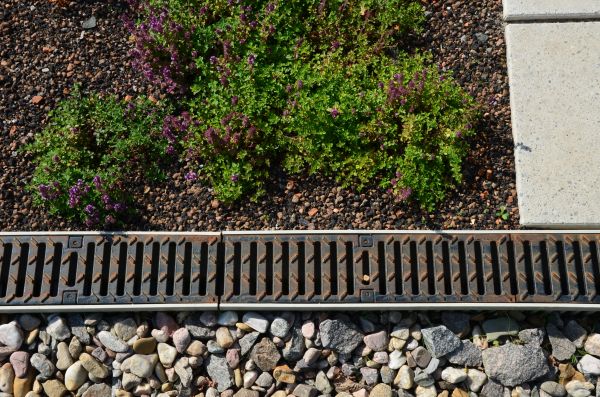Water Drainage Service in Scottsdale