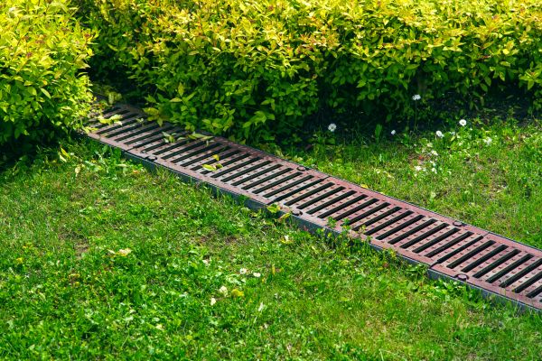 Lawn Drainage in Scottsdale