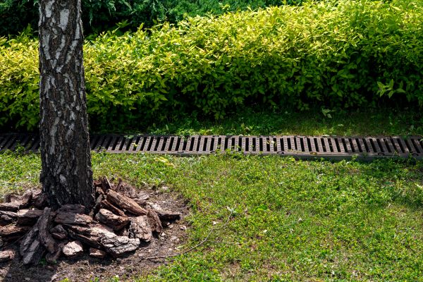 Yard Water Redirection Service