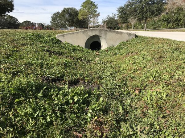 Swale Drainage Service in Scottsdale