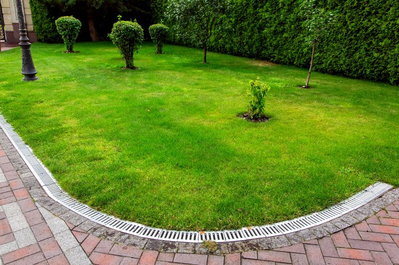 Landscape Drainage Repair