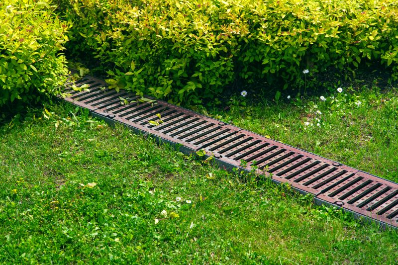 Landscape Drainage Repair